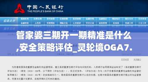 管家婆三期开一期精准是什么,安全策略评估_灵轮境OGA7.56