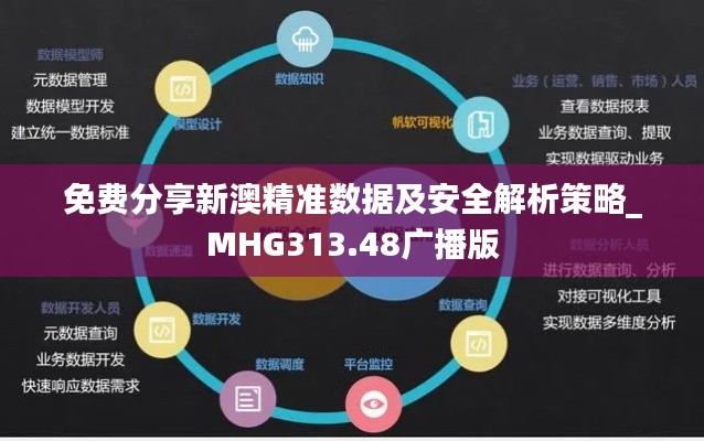免费分享新澳精准数据及安全解析策略_MHG313.48广播版