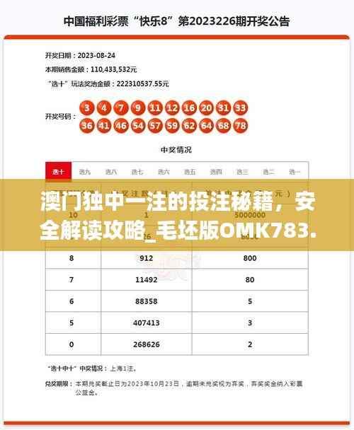 澳门独中一注的投注秘籍,安全解读攻略_毛坯版OMK783.49