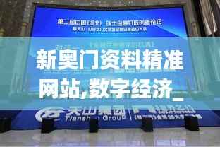 新奥门资料精准网站,数字经济_官方版ZJQ725.57