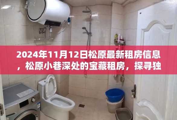 松原宝藏租房探寻,小巷深处的特色房源与隐藏小店(2024年11月最新)