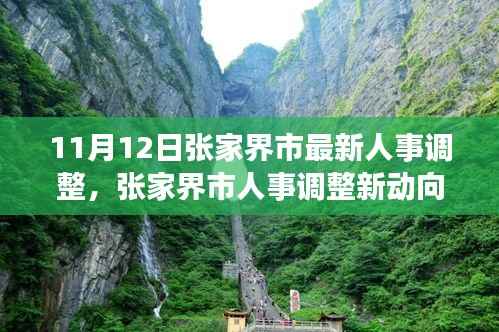 张家界市人事调整最新动态,深度解析与观点阐述