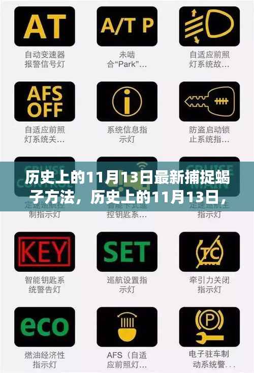 揭秘蝎子最新捕捉技巧,自信与成就感之旅在历史上的11月13日启航