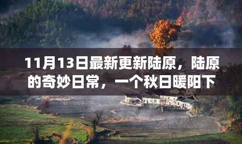 陆原的秋日暖阳,奇妙日常的温馨故事