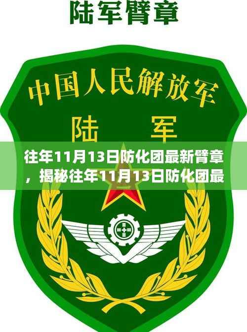 揭秘往年11月13日防化团最新臂章背后的故事与深层意义