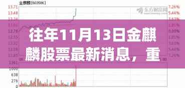 揭秘往年11月13日金麒麟股票最新消息，洞悉股市风云动向！