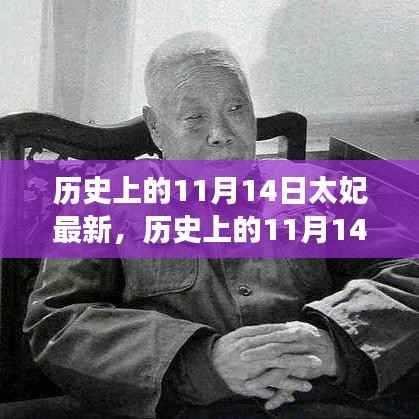 历史上的11月14日太妃传奇，最新解读与影响全解析