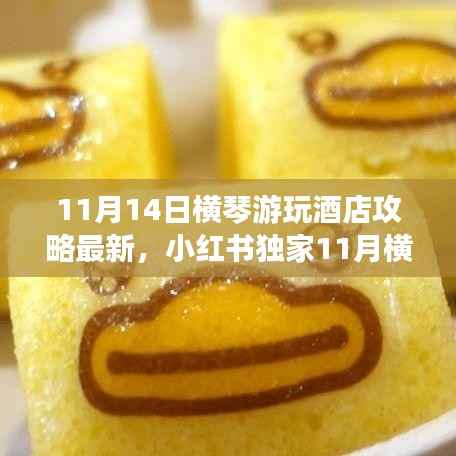 11月横琴游玩酒店最新攻略,小红书独家指南,畅游无忧住宿体验