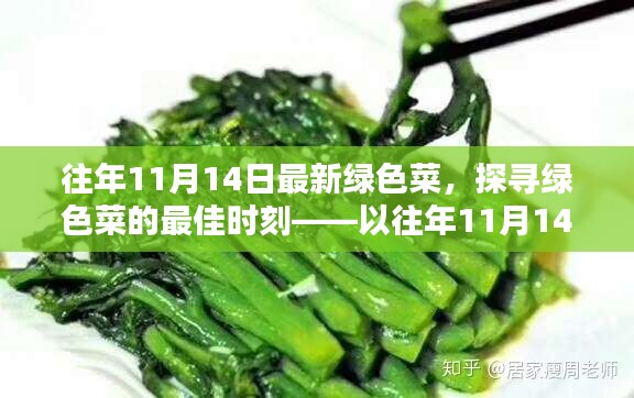 探寻绿色菜的最佳时刻,以往年11月14日为例的蔬菜盛宴