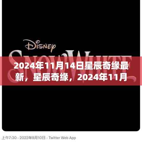 星辰奇缘梦幻邂逅，2024年11月14日星辰大海的最新揭秘