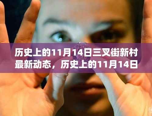 历史上的11月14日三叉街新村最新动态揭秘,全方位解读社区变迁与跟进策略