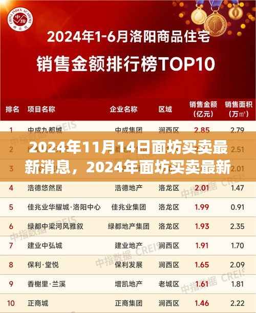 2024年面坊买卖最新动态及行业趋势与市场前景展望