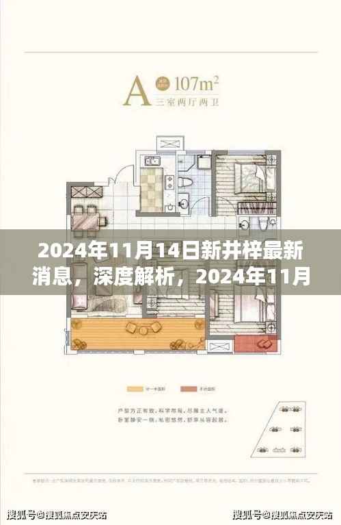 深度解析,2024年11月14日新井梓产品最新消息揭秘,特性、用户体验与目标用户群体探讨