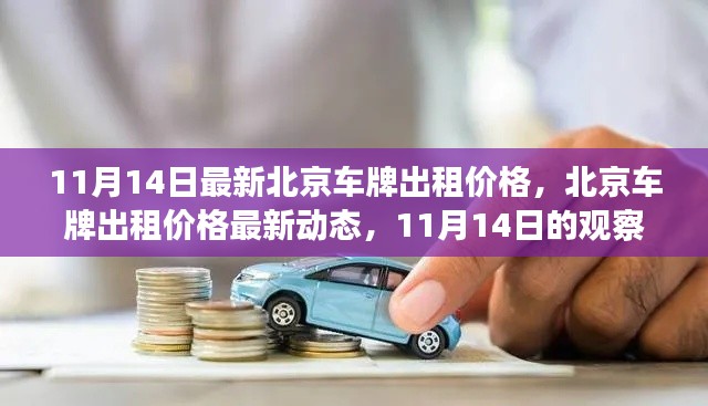 北京车牌出租价格最新动态,11月14日的观察与解读