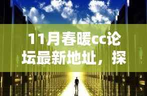 11月春暖CC论坛新坐标,探秘巷弄中的独特小店与暖意
