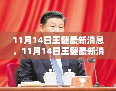 王健最新消息全面评测与介绍，11月14日更新动态揭秘！