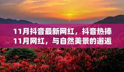 抖音热捧的11月网红,与自然美景的邂逅与内心宁静之旅