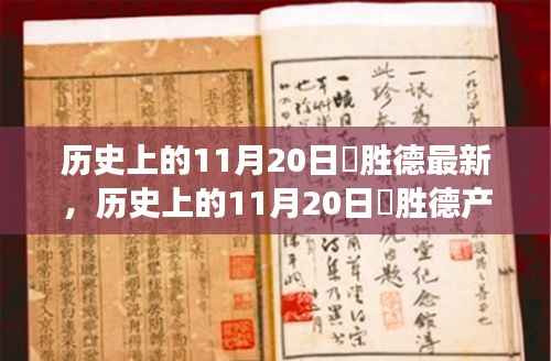 历史上的11月20日姫胜德产品深度评测,特性、体验、竞争分析与用户群体全面解读