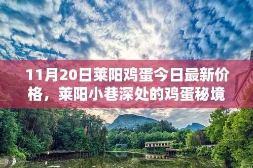 莱阳鸡蛋最新价格揭秘,小巷深处的特色小店与鸡蛋秘境探索