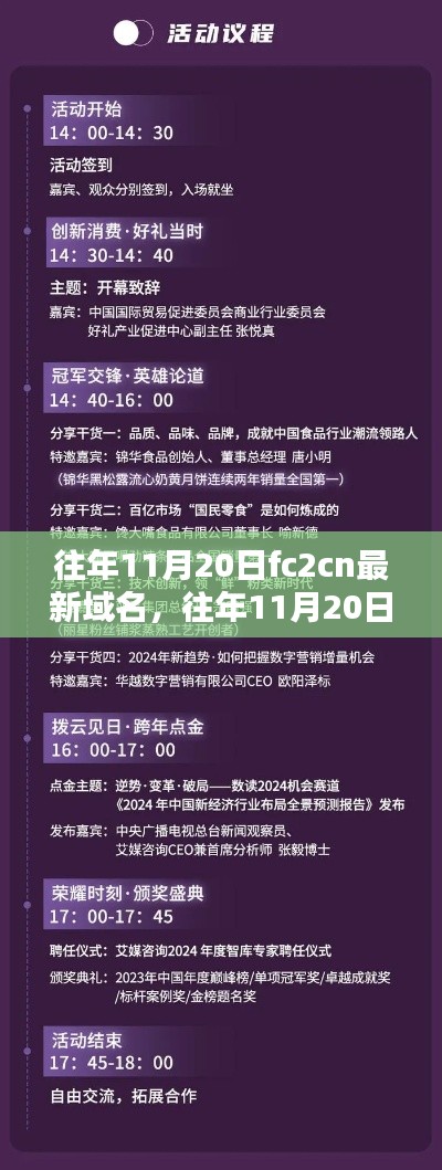 往年11月20日FC2CN域名更新,解析与观点阐述