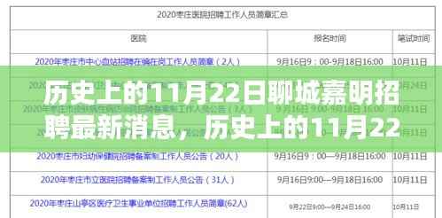 历史上的11月22日聊城嘉明招聘最新消息深度解析及观点阐述