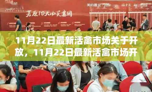 11月22日活禽市场开放动态,复苏与机遇的挑战