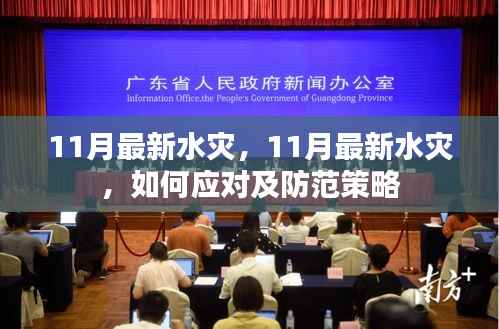 最新应对与防范策略,如何应对和防范11月水灾灾害