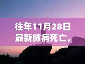 往年11月28日最新肺病死亡,探索自然美景之旅,远离尘嚣,寻找内心的安宁——一场肺病的意外启示