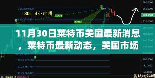 莱特币美国最新动态分析,市场趋势下的正反观点探讨(11月30日)