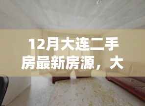 大连二手房最新房源,家的温馨与友情的邂逅在冬季的温馨篇章