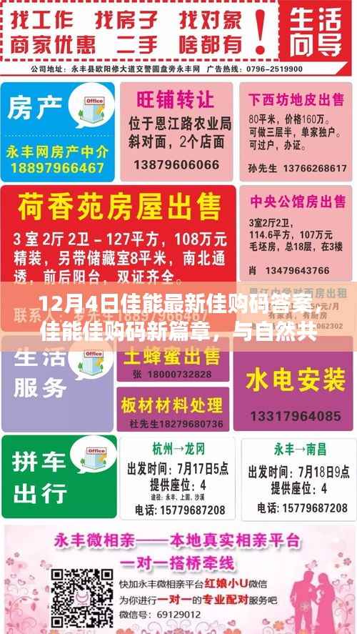 佳能佳购码新篇章揭秘，与自然共舞，探寻心灵宁静之地（12月4日最新答案）