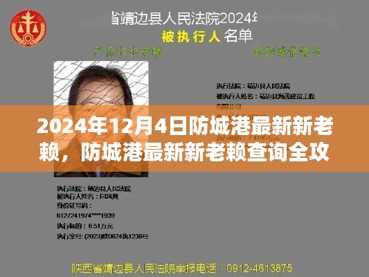 防城港最新新老赖查询指南(2024年12月版),从初学者到进阶用户全面攻略
