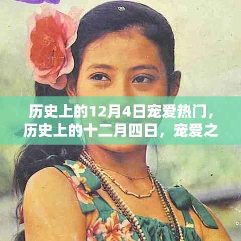 政策法规 第164页