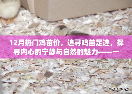 员工入口 第141页