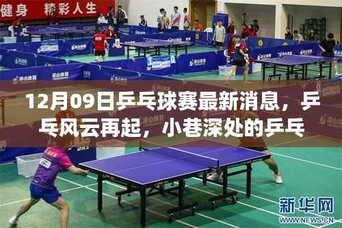 乒乓风云再起,小巷深处的乒乓盛宴与特色小店揭秘