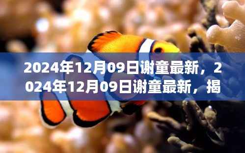 揭秘音乐才子谢童的全新音乐之旅,2024年12月09日最新动态揭秘