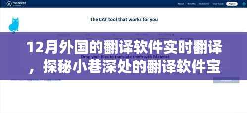 探秘十二月外国实时翻译软件,小巷深处的翻译宝藏体验之旅