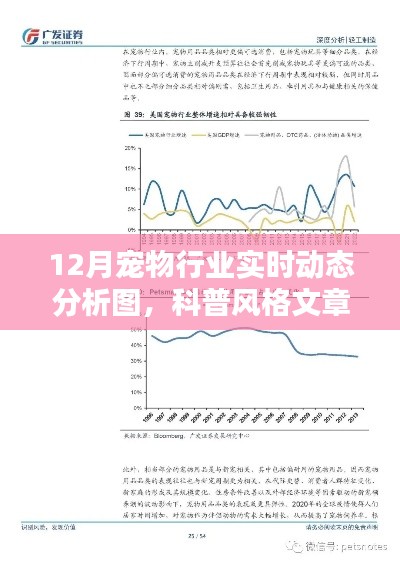 揭秘宠物行业趋势,12月宠物行业实时动态科普分析图