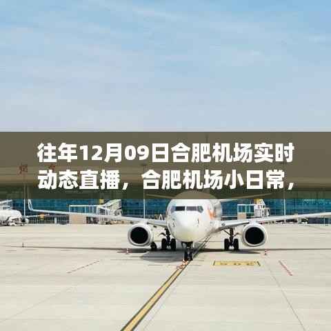 云端下的温馨相遇,合肥机场12月9日实时动态直播小日常