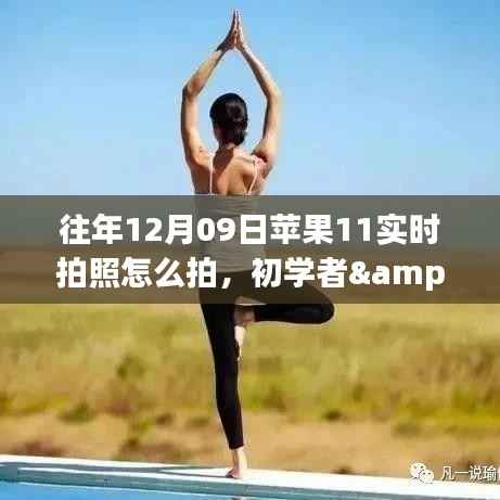 苹果11实时拍照全攻略,从初学者到进阶用户的拍摄指南(往年12月09日版)