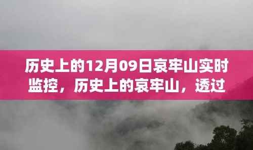 哀牢山历史监控实录,透过实时影像一窥昔日风采