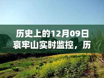 哀牢山历史监控实录,透过实时影像一窥昔日风采