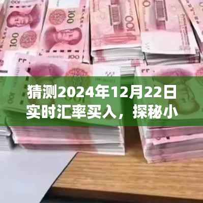 探秘小巷深处的汇率宝藏,预测2024年汇率走势与特色小店的神秘交易日
