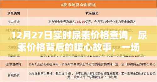 尿素价格背后的暖心故事,友情与陪伴的查询之旅