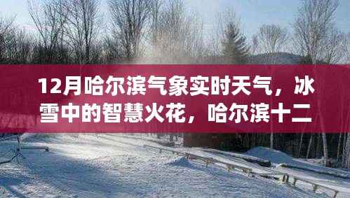 哈尔滨十二月冰雪智慧,气象实时观察与启示录
