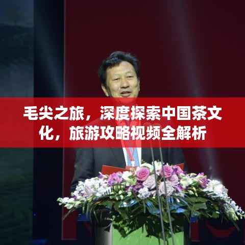 毛尖之旅,深度探索中国茶文化,旅游攻略视频全解析