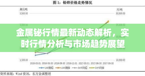 金属铋行情最新动态解析,实时行情分析与市场趋势展望