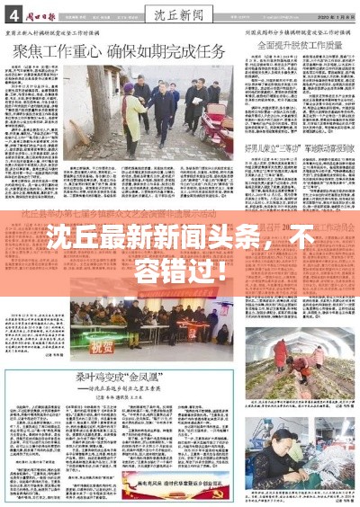 沈丘最新新闻头条,不容错过!