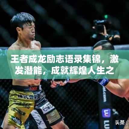 联系我们 第104页