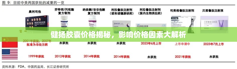 健扬胶囊价格揭秘,影响价格因素大解析